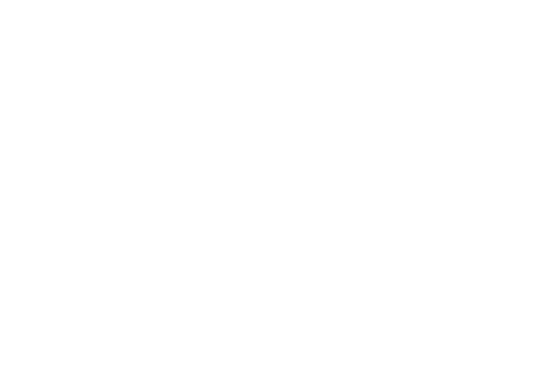 vision